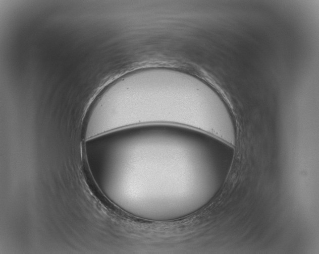 X0000052550011200507010857