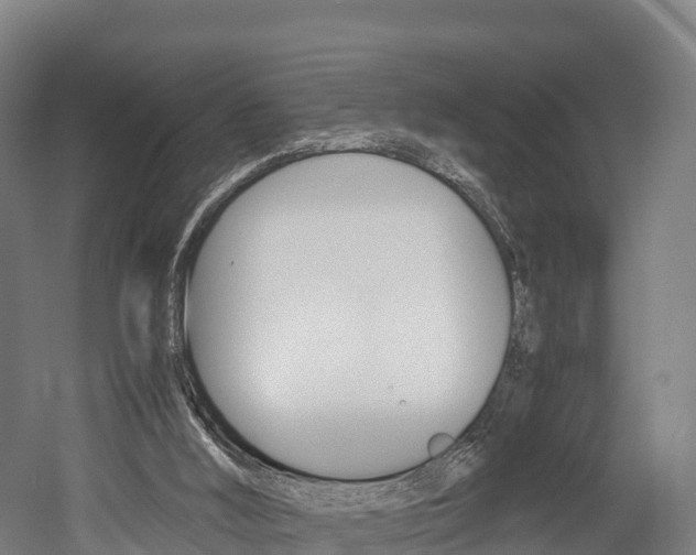 X0000052550012200507010857