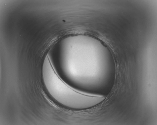 X0000052550013200507010857