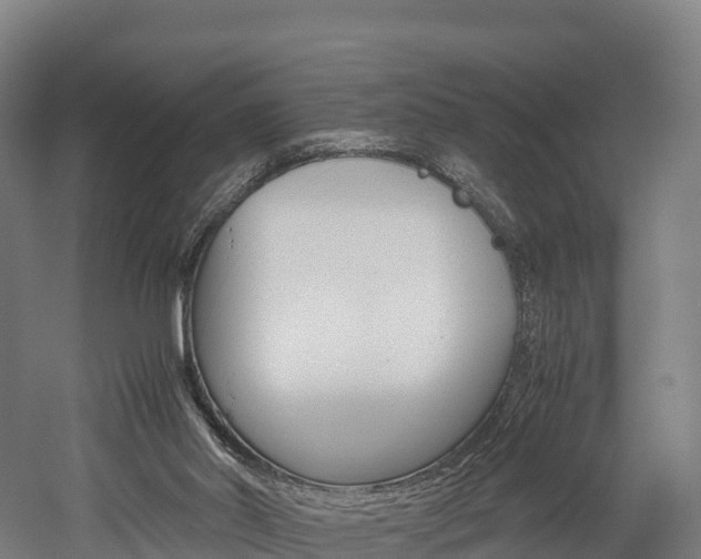 X0000052550014200507010857