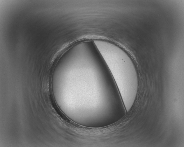 X0000052550015200507010857