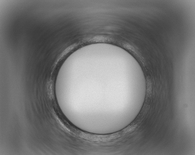 X0000052550016200507010857