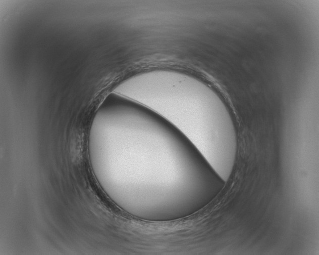 X0000052550018200507010857