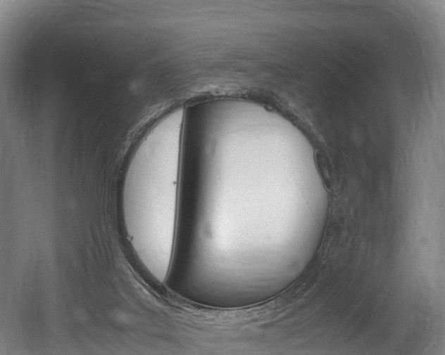 X0000052550019200507010857