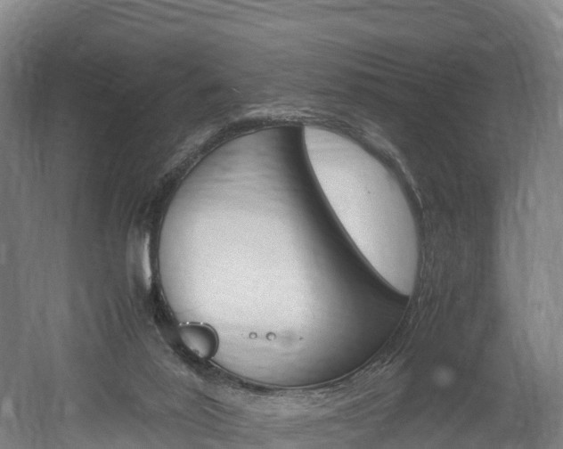 X0000052550020200507010857