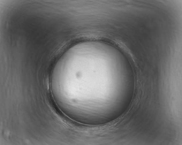 X0000052550021200507010857