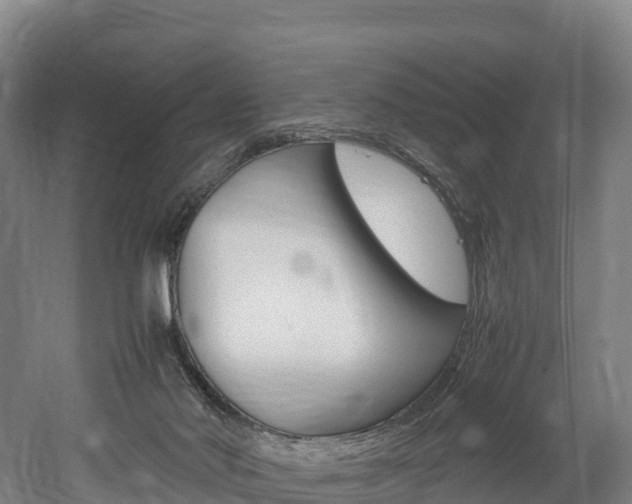 X0000052550022200507010857