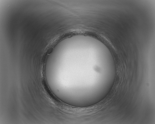 X0000052550023200507010857