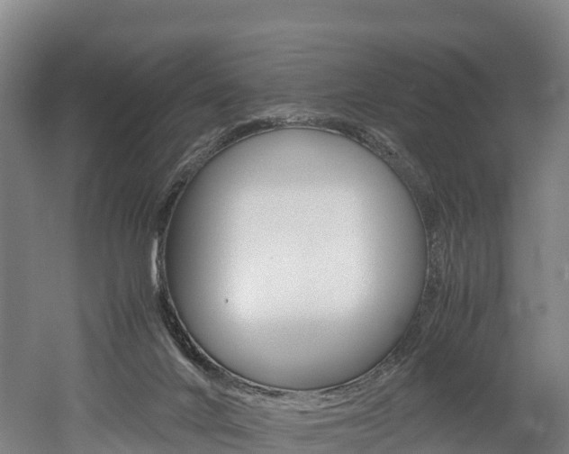 X0000052550024200507010857