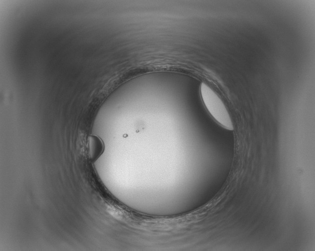 X0000052550025200507010857