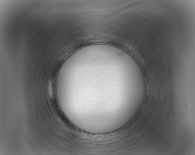 X0000052550026200507010857