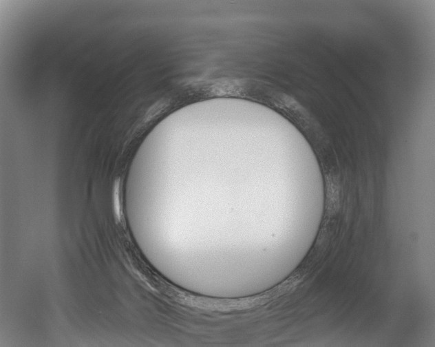 X0000052550028200507010857