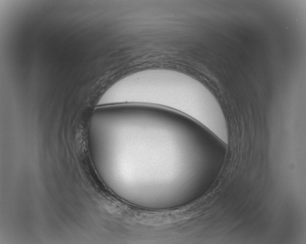 X0000052550029200507010857