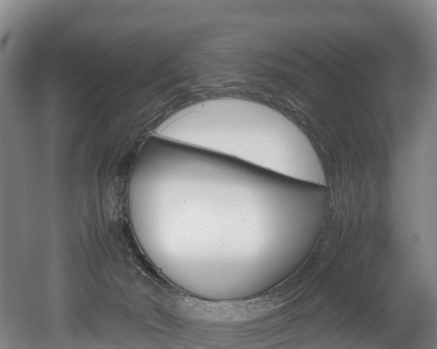 X0000052550030200507010857