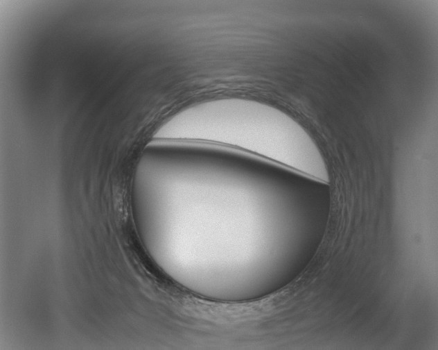 X0000052550031200507010857