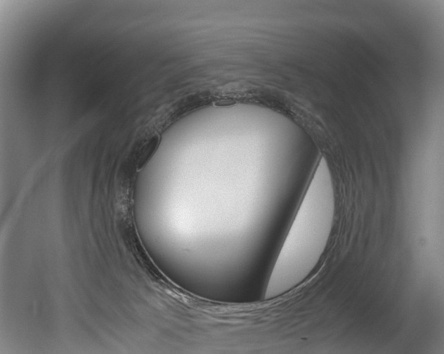 X0000052550033200507010857