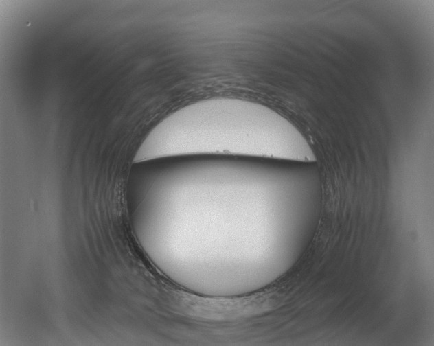 X0000052550034200507010856