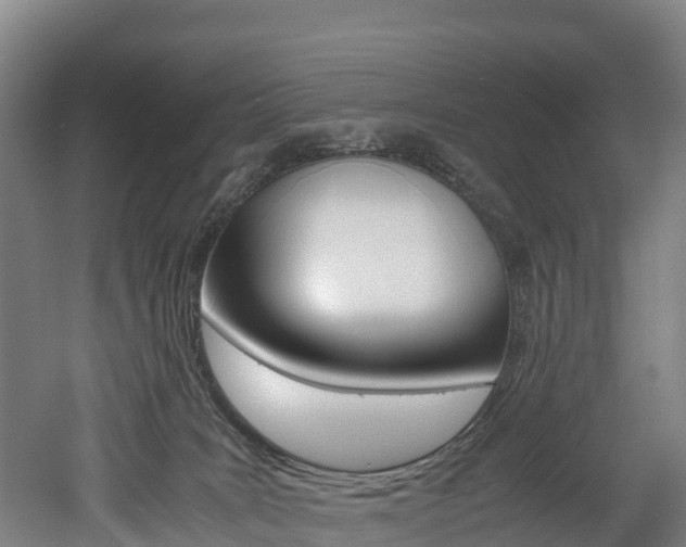 X0000052550035200507010856