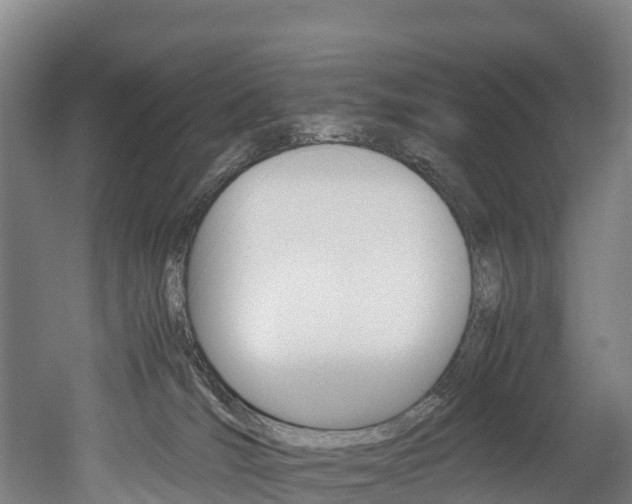 X0000052550036200507010856