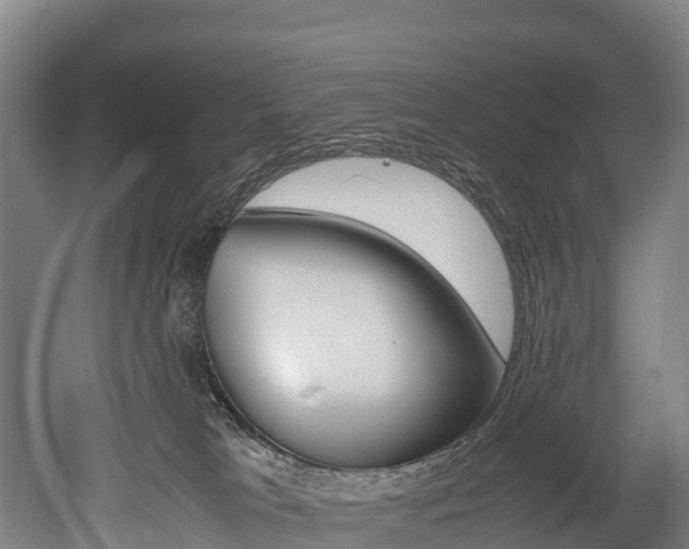 X0000052550037200507010856