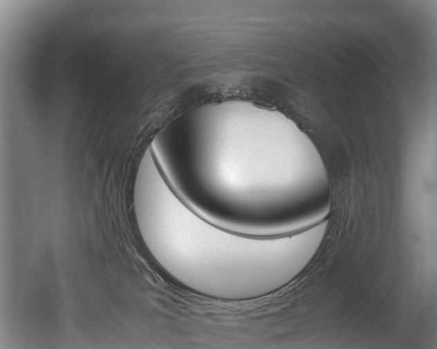 X0000052550039200507010856