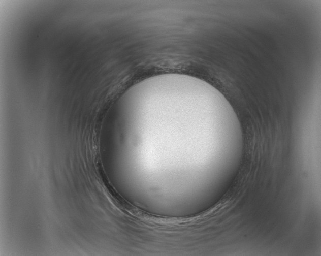 X0000052550040200507010856