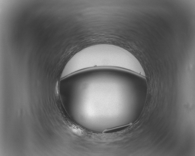 X0000052550041200507010856