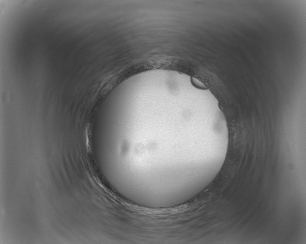 X0000052550042200507010856