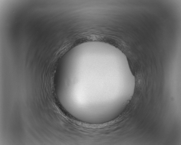 X0000052550043200507010856