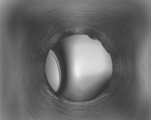 X0000052550044200507010856