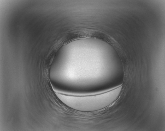 X0000052550045200507010856