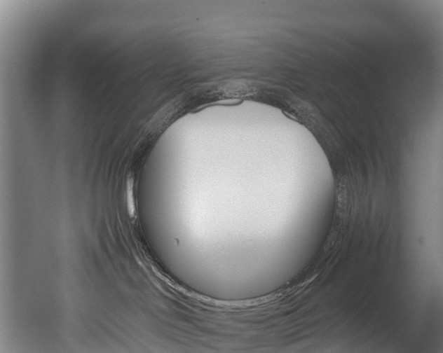 X0000052550046200507010856