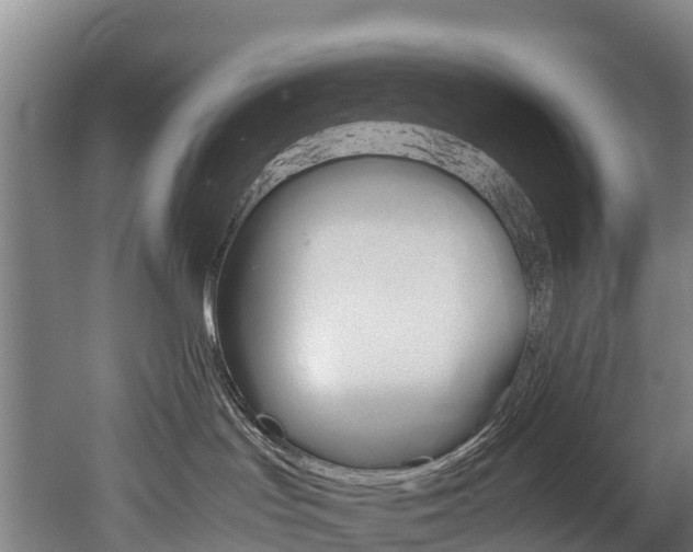 X0000052550047200507010856