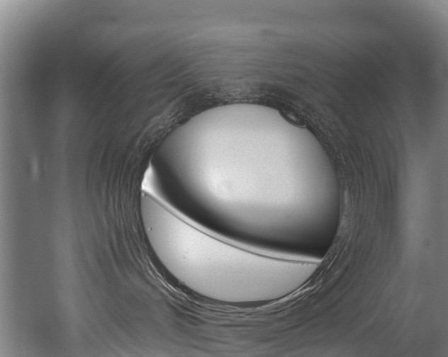 X0000052550048200507010856