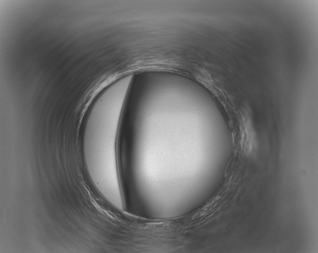 X0000052550050200507010855