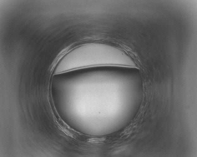 X0000052550051200507010855