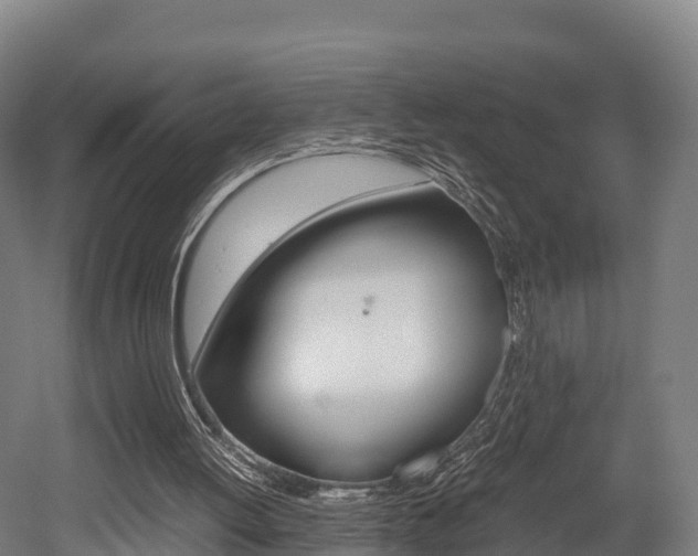 X0000052550052200507010855