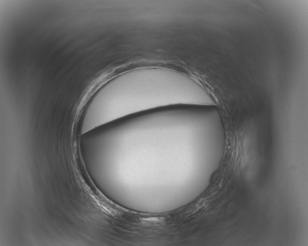 X0000052550053200507010856