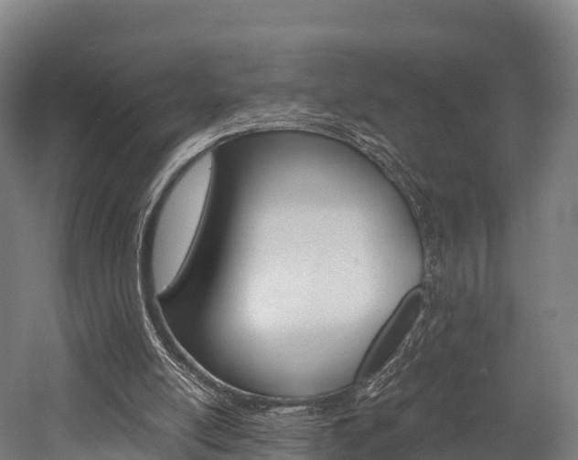 X0000052550054200507010856