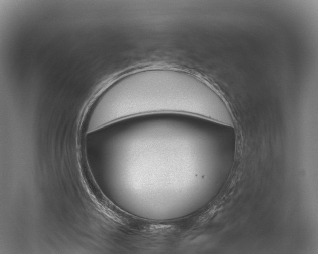 X0000052550055200507010856