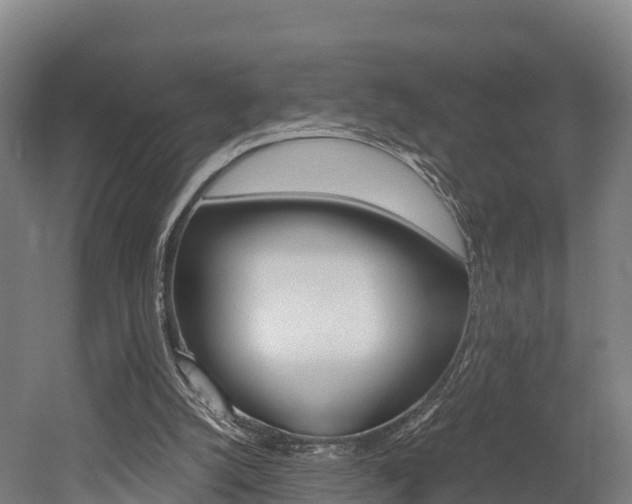 X0000052550056200507010856