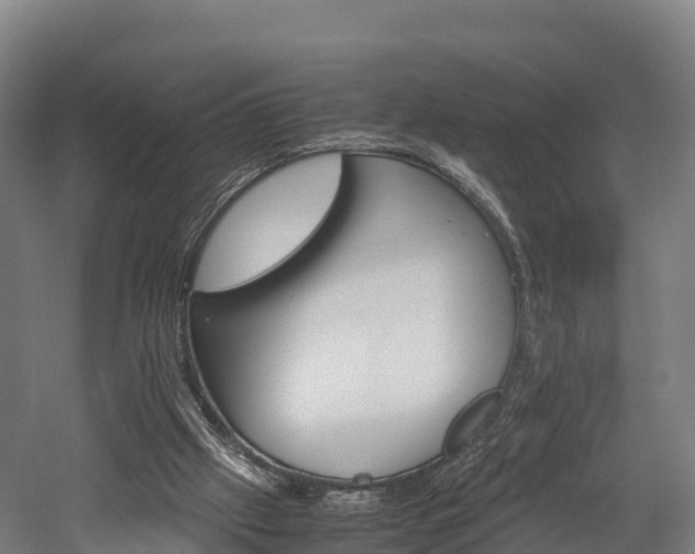 X0000052550057200507010856