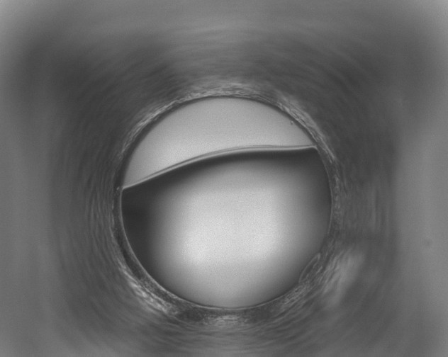 X0000052550058200507010856