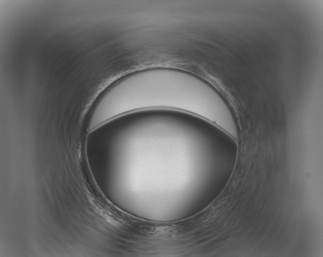 X0000052550060200507010856