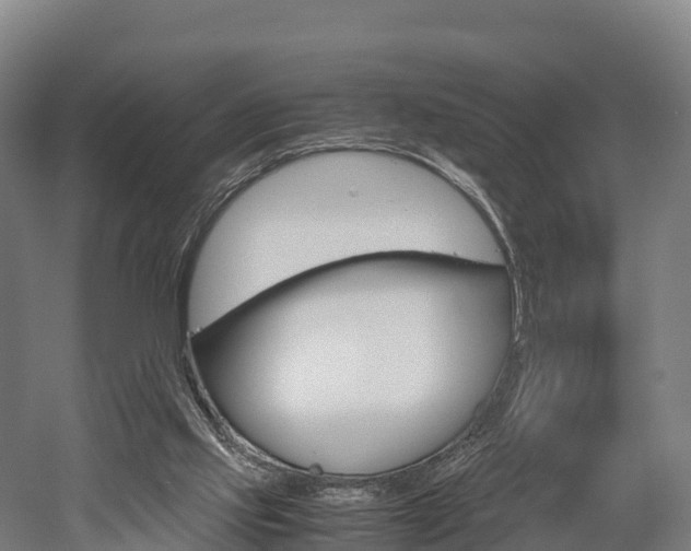 X0000052550061200507010856