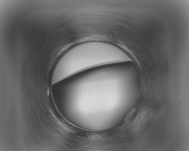 X0000052550062200507010856