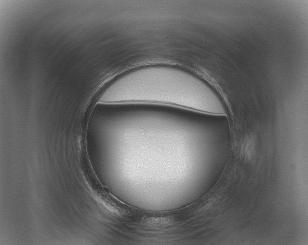 X0000052550063200507010856