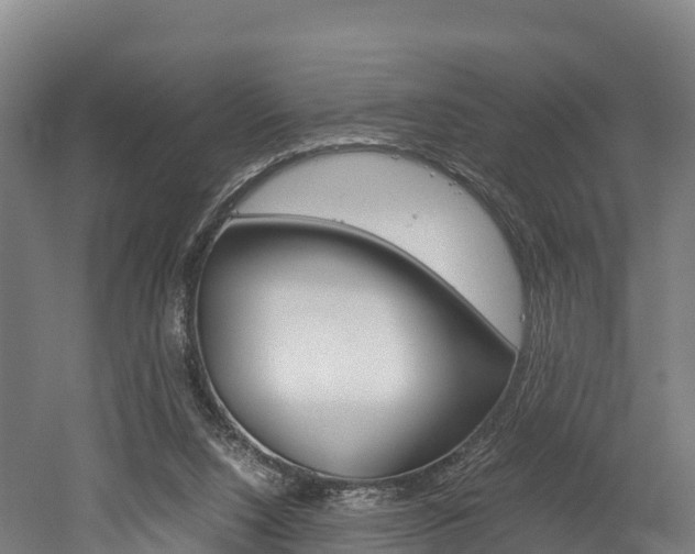 X0000052550064200507010856