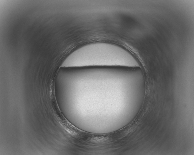 X0000052550065200507010856