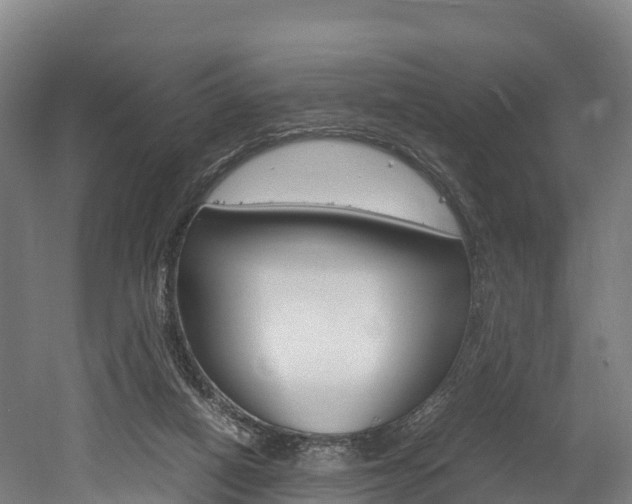 X0000052550066200507010856